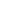 Pinzo Logo